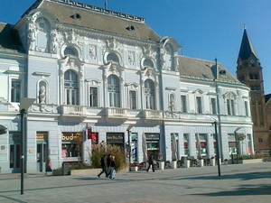 Ny&iacute;regyh&aacute;za